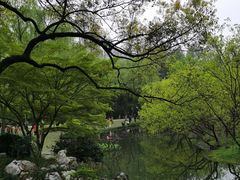 -蕃茄田艺术•美术绘画 •硬笔书法(滨江海威领界店)