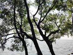 -大理洱海