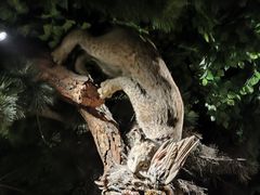 -大连自然博物馆