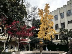 -南京中国近代史遗址博物馆(南京总统府)