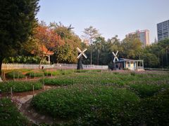 -晓港公园