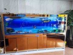 -大连湾旭日饭店(大连湾店)