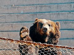 -鄂尔多斯野生动物园