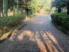 -故乡缘·香格里拉山庄(冷竹路店)