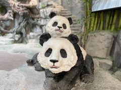 -卧龙中华大熊猫苑神树坪基地