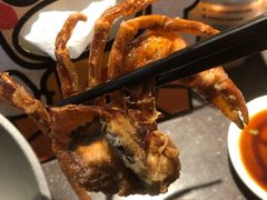 炸软壳蟹-元气寿司(东方宝泰店)