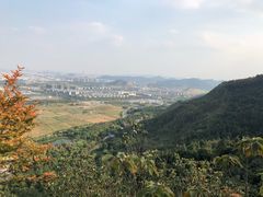 -大阳山国家森林公园