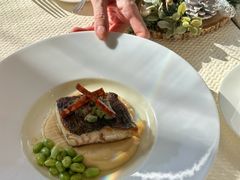 -Oyster Talks 四度蚝法餐厅