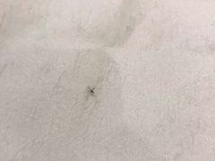 -悦福瑞酒楼(西影路店)