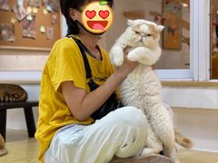 -Heymao猫咖.咖啡厅(东门店)