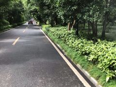 -南京东郊国宾馆