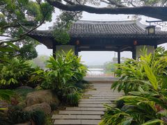 -江心屿景区
