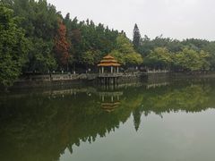 -飞来湖湿地公园