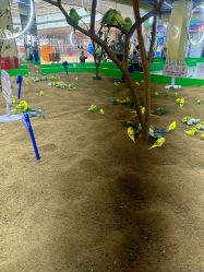 -宝燕乐园(闵行旗舰店)