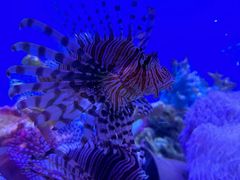 -海合安武汉极地海洋公园