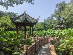 -房湖公园