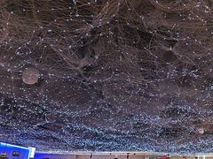 -徐记小怪兽肉蟹煲(中央大街店)