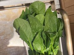 -左庭右院鲜牛肉火锅(长泰广场店)