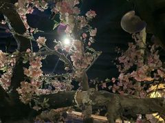-绿茶餐厅(朝阳大悦城店)