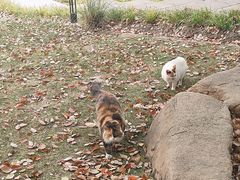 -华东政法大学(松江校区)