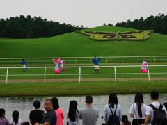 -迪茵湖田家舍生态农场