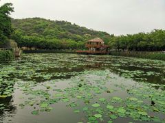 -李小龙乐园(顺德均安店)