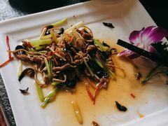 -东哥紫阳蒸盆子(旺座·现代城店)