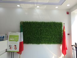 -莱可美科技美肤