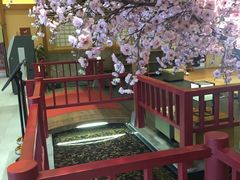 -大江户·温泉洗浴(浑南店)