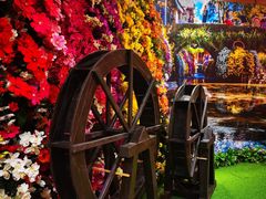 -昆明花之城豪生酒店·美食广场