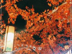 -匠岳·王宝器麻椒鱼(全国总店)