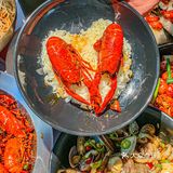 今日份开心是一棠龙虾🦞给的｜新品yyds[胜利]