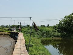 -江门古劳水乡旅游区