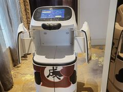 -成都保利公园皇冠假日酒店(熊猫基地店)