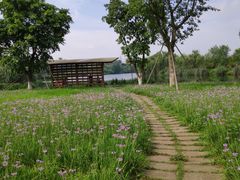 -白鹭湾湿地公园