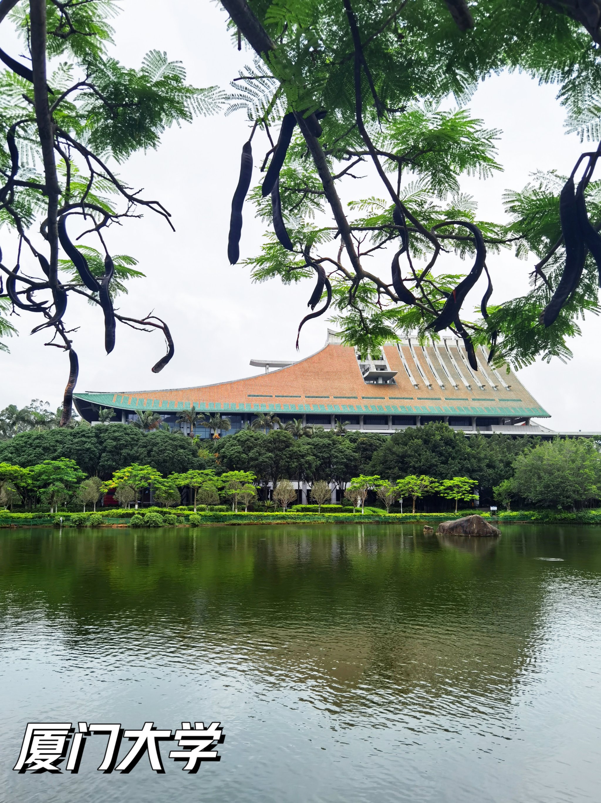 当一回学生,才知道厦门大学人文风景美