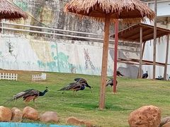 -华谊兄弟（长沙）电影小镇