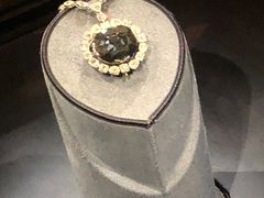 -美国自然历史博物馆