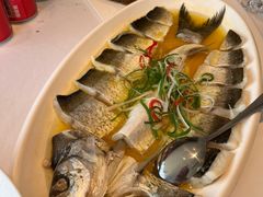 -鱼翅楼·津派砂锅鱼翅(水上公园店)