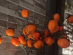 -胡大饭馆 24h(簋街总店)