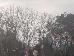 -武汉园博园(武汉自然博物馆)
