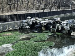 -白水寺森林公园