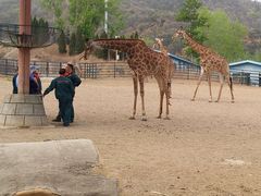 -大连森林动物园