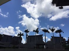 -三亚湾红树林度假世界(木棉酒店)