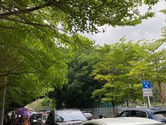 -梧桐山风景名胜区