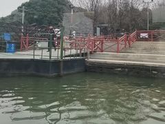 -溱湖国家湿地公园