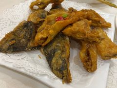 -寻味顺德·南记酒家·传统顺德菜·鱼生(广源路店)
