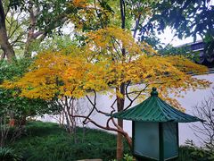 -秋霞圃