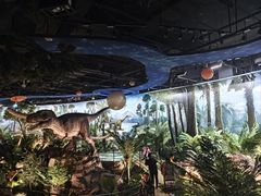 -陕西自然博物馆