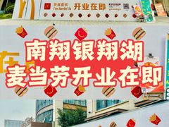 -南翔镇银翔湖公园